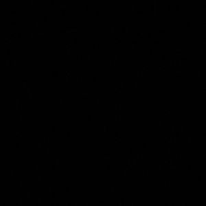 Meet your Posher, Naydi